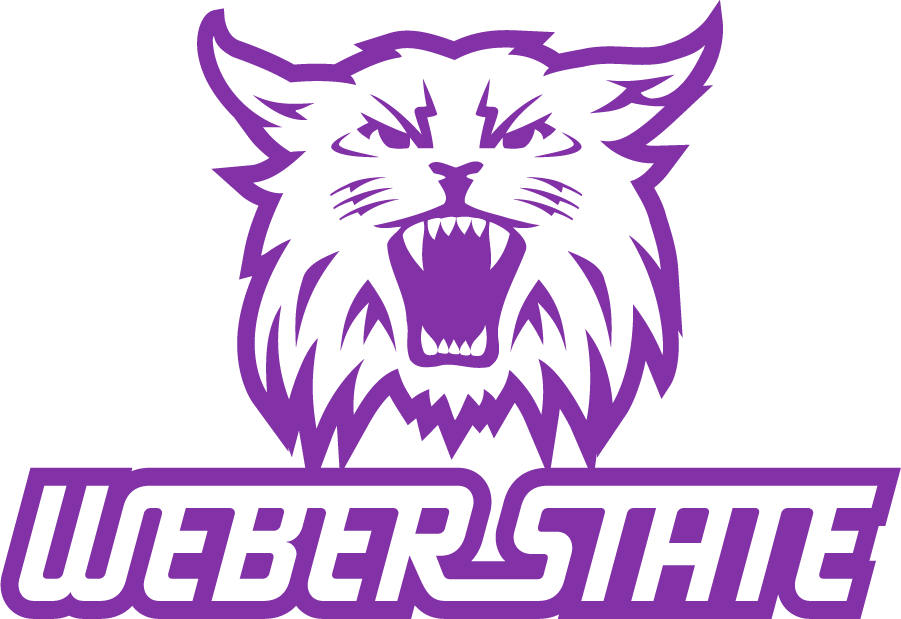 Weber State Wildcats 2008-2012 Secondary Logo v3 DIY iron on transfer (heat transfer)
